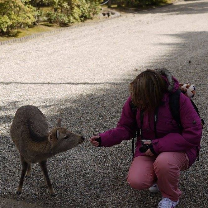 Me feeding a deer in Nara